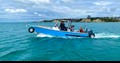 Sealegs 7.5m Alloy Amphibious Boat sur l'eau
